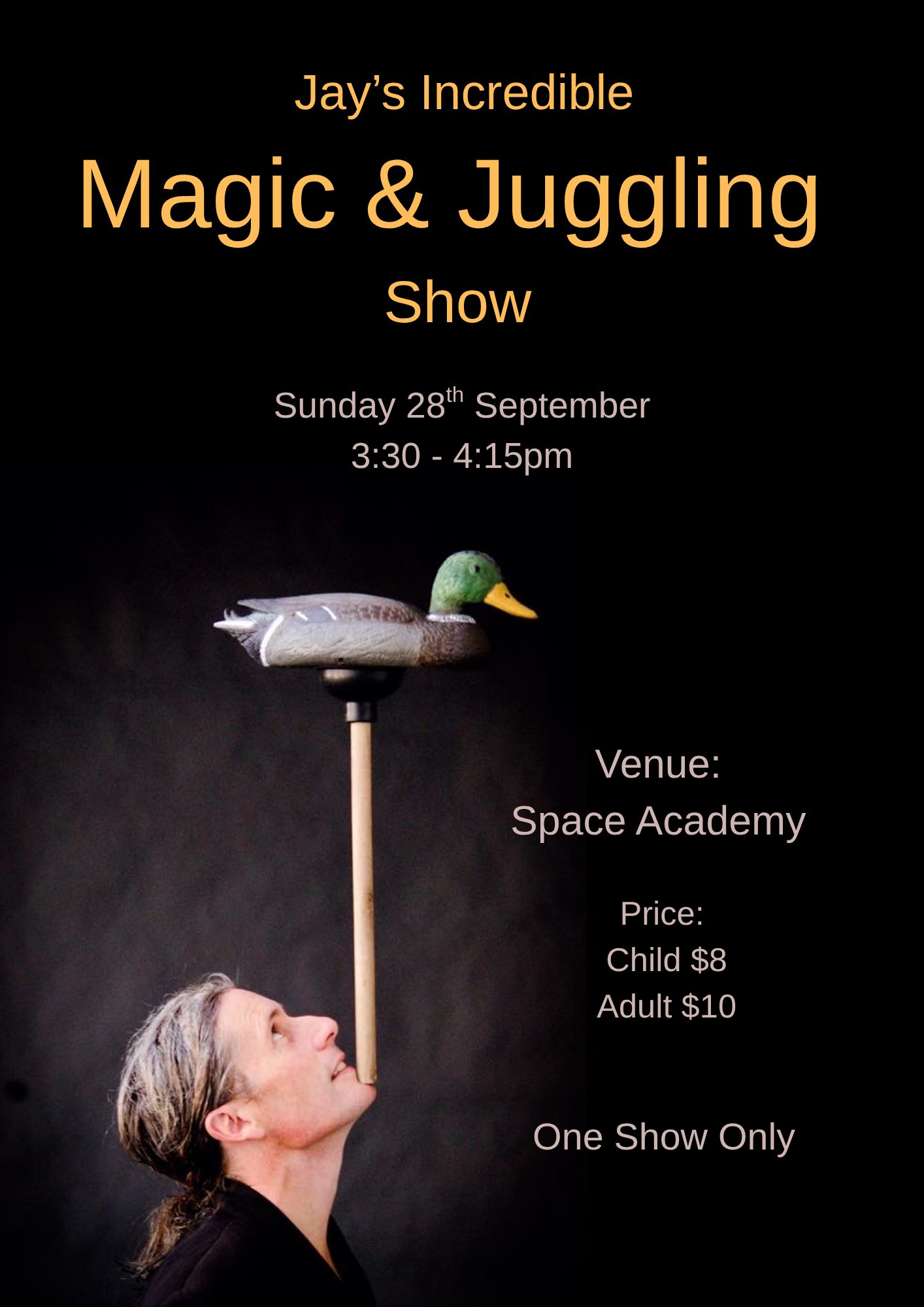 Magic and Juggling Show-3
